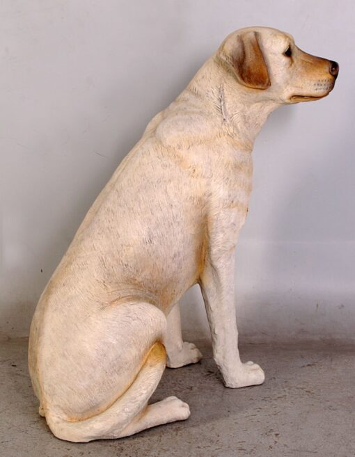 LABRADOR SITTING JR 110098 - Image 8