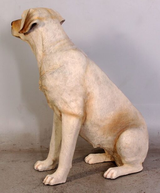 LABRADOR SITTING JR 110098 - Image 6