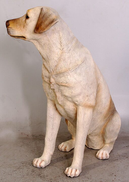 LABRADOR SITTING JR 110098 - Image 14