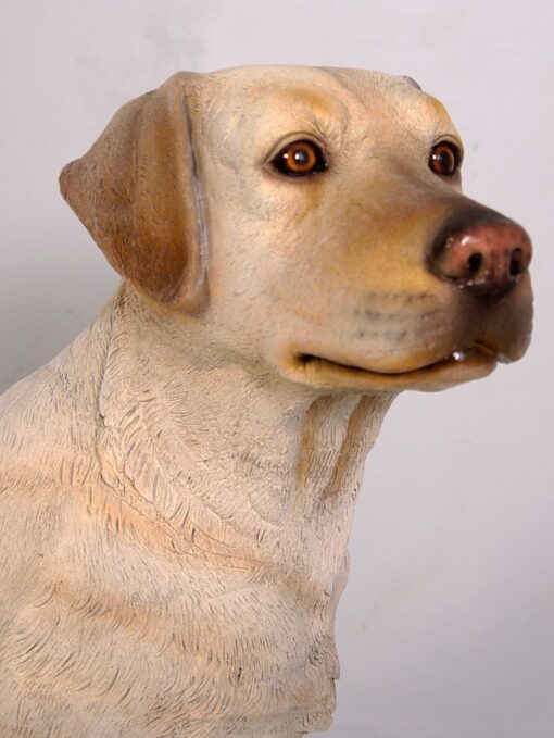 LABRADOR SITTING JR 110098 - Image 12