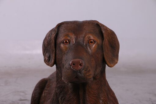 LABRADOR LYING DOWN JR 150251 - Image 20