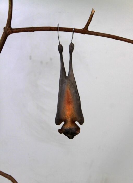 BAT LITTLE RED FLYING FOX JR 100121