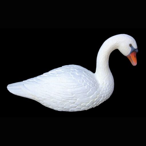 SWAN JR MS