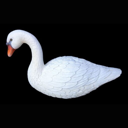 SWAN JR MS - Image 4