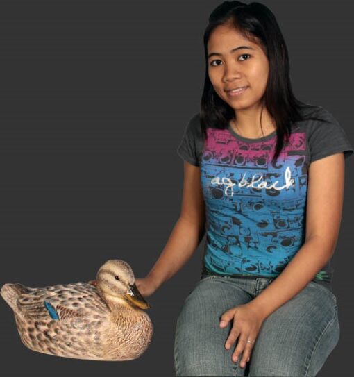 DUCK MALLARD FEMALE JR 110020 - Image 2