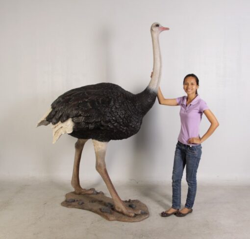 OSTRICH JR 130003 - Image 4