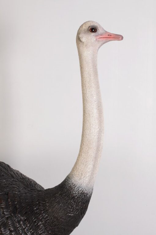 OSTRICH JR 130003 - Image 3