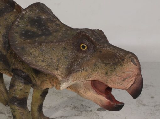 PROTOCERATOPS JR 120064 - Image 3