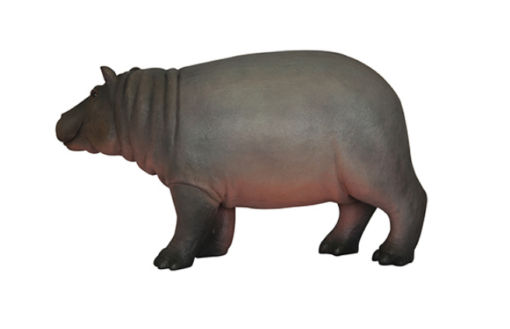 HIPPO - BABY JR R-003 - Image 2