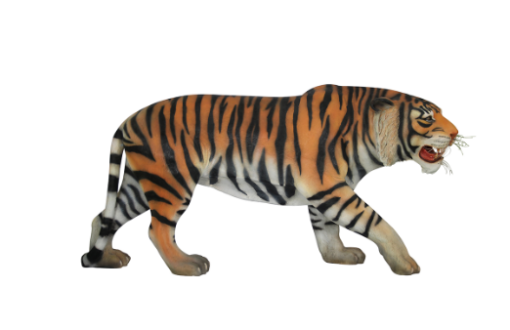 TIGER JR R-004 - Image 2