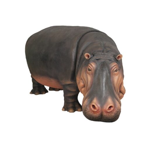 HIPPOPOTAMUS JR R-012