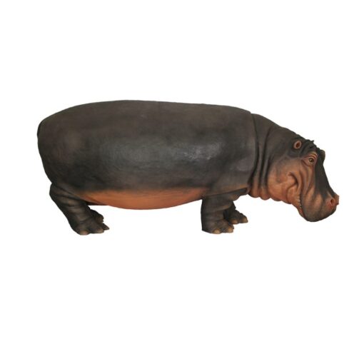 HIPPOPOTAMUS JR R-012 - Image 4