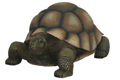 TURTLE JR R-026