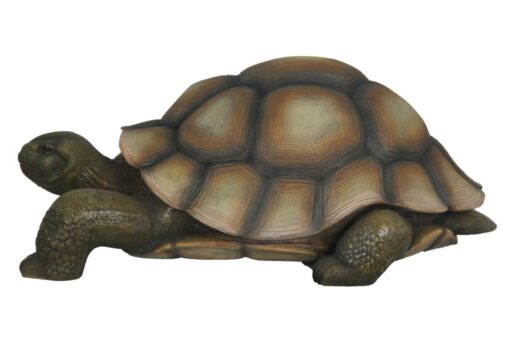 TURTLE JR R-026 - Image 2