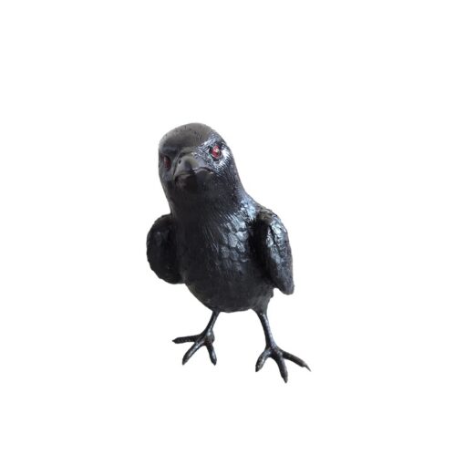 CROW STANDING JR R-098