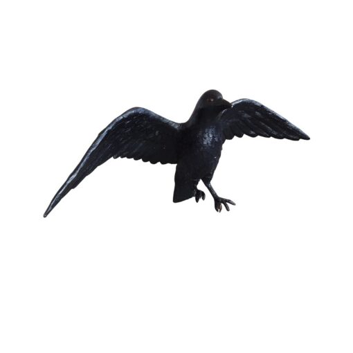 CROW TAKING OFF J R-100