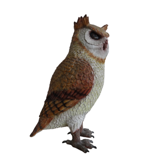OWL JR R-172 - Image 2