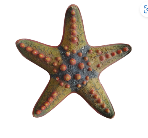 CHOCCO CHIP STARFISH JR R-204