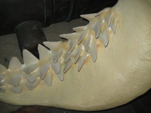 GREAT WHITE SHARKS JAWS JR 2458 - Image 3