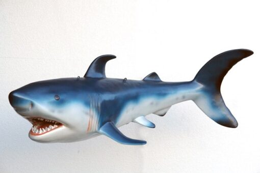 SHARK SMALL JR 2398