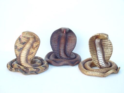COBRA JR 2251 - Image 3