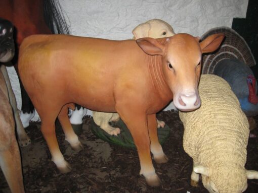 CALF JR 1636 - Image 4