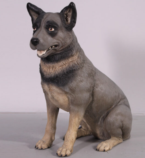 BLUE HEELER - SITTING JR 080072