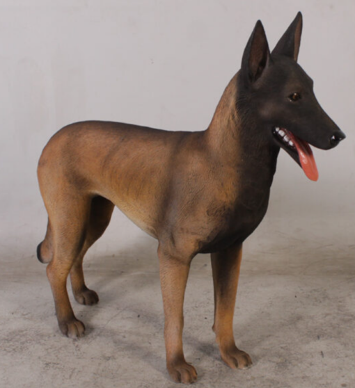 BELGIAN MALINOIS JR 110127