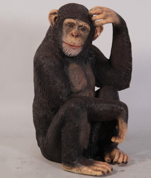 CHIMPANZEE SITTING JR 110026