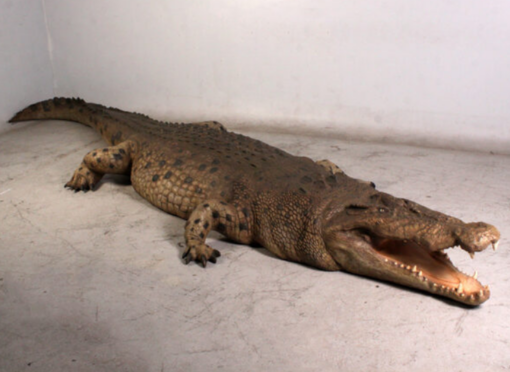 CROCODILE 18FT JR 110090