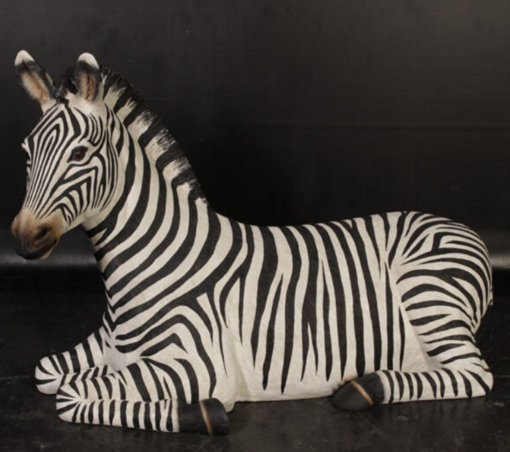 ZEBRA RESTING JR 120057