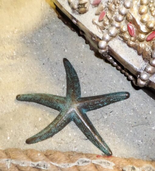 STARFISH 25CM BRONZE JR 140085