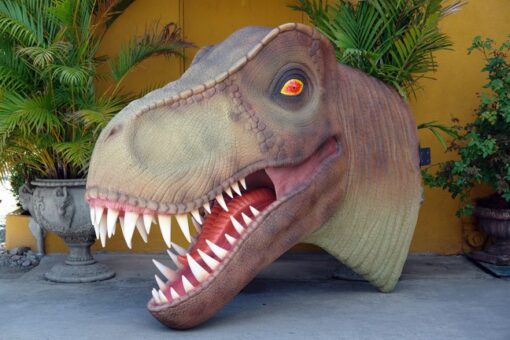 T REX HEAD JR 2400