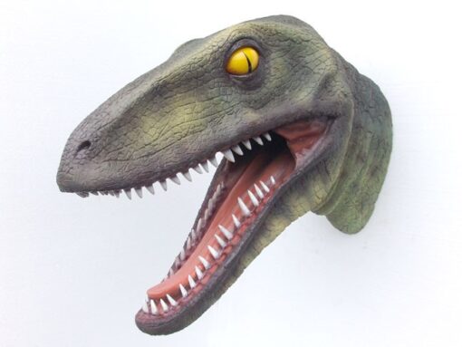 RAPTOR HEAD JR 2307