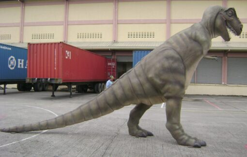 T REX JR 080126 - Image 3