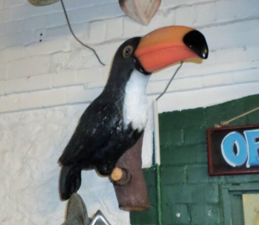 TOUCAN JR R-038