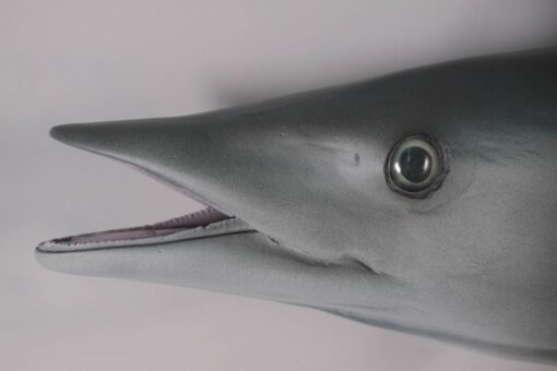 WAHOO JR 100090 - Image 6