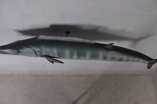 WAHOO JR 100090 - Image 5