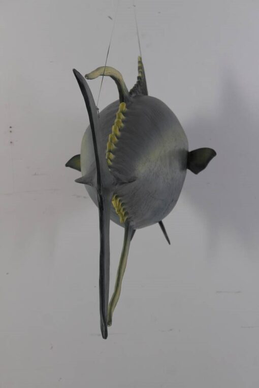 YELLOWFIN TUNA JR 100076 - Image 4