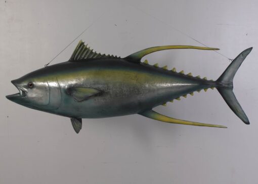 YELLOWFIN TUNA JR 100076 - Image 6