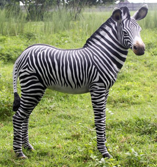 ZEBRA FOAL JR 110099
