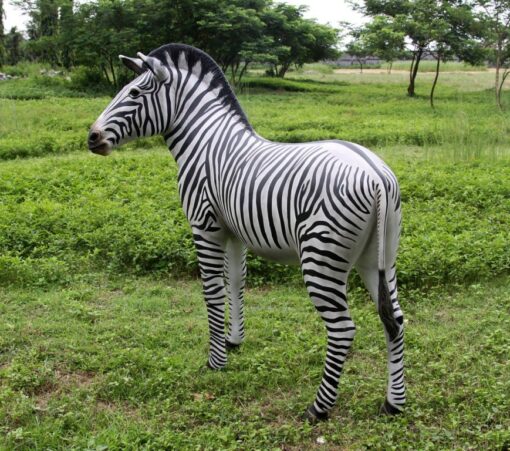 ZEBRA JR 110075 - Image 6