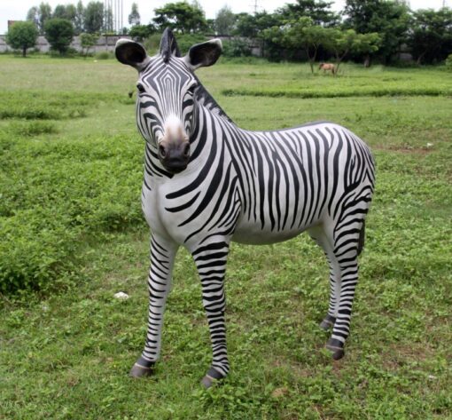 ZEBRA JR 110075 - Image 5