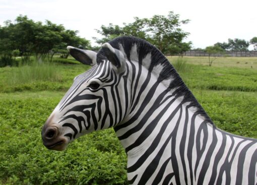 ZEBRA JR 110075 - Image 4