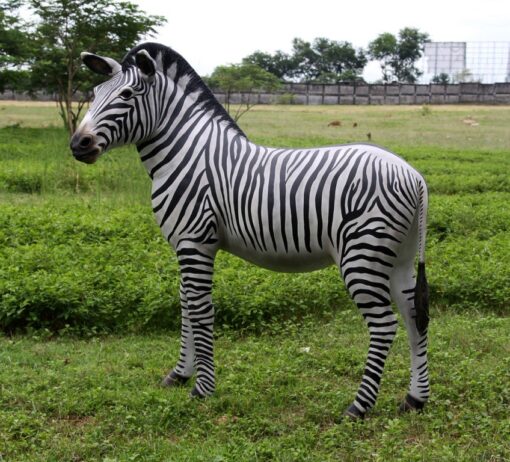 ZEBRA JR 110075