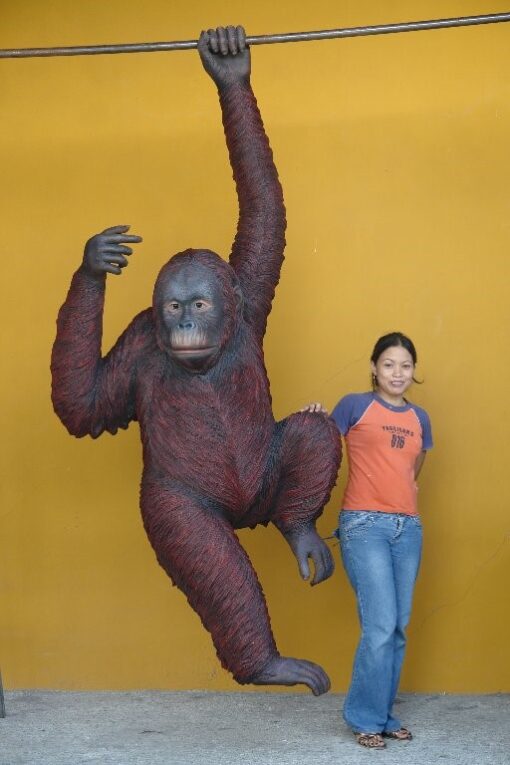 ORANGUTAN HANGING JR 2525