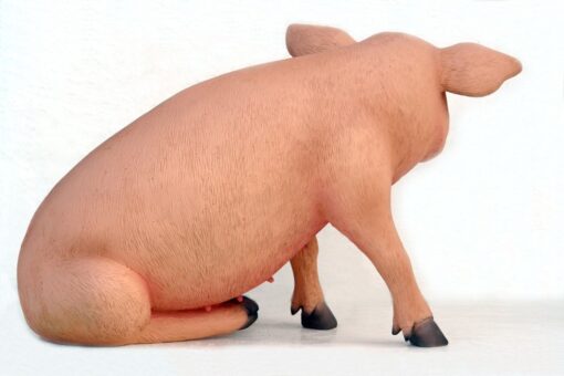 PIG SITTING JR 2430 - Image 3