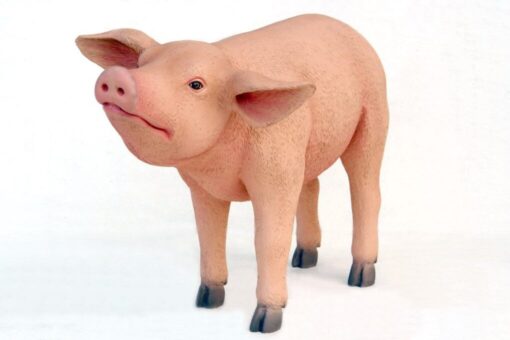 PIG STANDING JR 2429