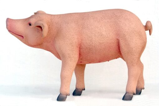 PIG STANDING JR 2429 - Image 4