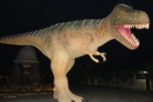 T REX JR FI